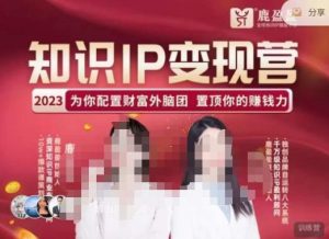 鹿盈盈-知识IP变现实操营，​普通人可复制的知识产品落地实操课，​带你打通知识IP变现底层逻辑-遨游资源库