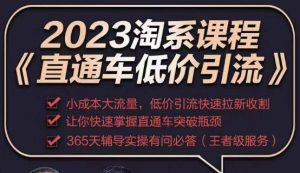 2023直通车低价引流玩法课程，小成本大流量，低价引流快速拉新收割，让你快速掌握直通车突破瓶颈-遨游资源库