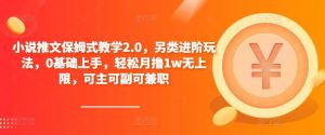 小说推文保姆式教学2.0，另类进阶玩法，0基础上手，轻松月撸1w无上限，可主可副可兼职-遨游资源库