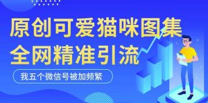 黑科技纯原创可爱猫咪图片，全网精准引流，实操5个VX号被加频繁-遨游资源库