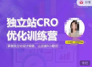独立站CRO优化训练营，掌握独立站设计秘籍，打造高转化的独立站，让店铺ROI翻倍-遨游资源库