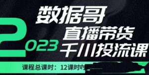 数据哥2023直播电商巨量千川付费投流实操课,快速掌握直播带货运营投放策略-遨游资源库