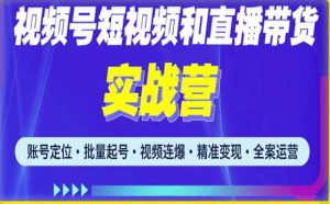 2023最新微信视频号引流和变现全套运营实战课程，小白也能玩转视频号短视频和直播运营-遨游资源库