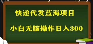 2023最新蓝海快递代发项目，小白零成本照抄也能日入300+-遨游资源库
