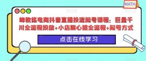 峰教练电商抖音直播投流起号课程：巨量千川全流程投放+小店随心推全流程+起号方式-遨游资源库