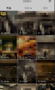 毒文案升级玩法，流量爆炸，5分钟一条原创作品，单个作品变现500+-遨游资源库