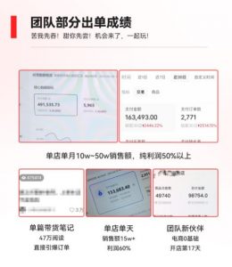 2023小红书电商火爆全网，新晋红利，风口项目，单店收益在3000-30000！-遨游资源库