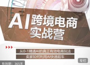 白龙老师·AI跨境电商实战营：从0-1精通Al的真正有效电商玩法，卖家如何利用Al快速超车-遨游资源库