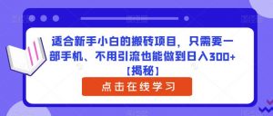 适合新手小白的搬砖项目,只需要一部手机、不用引流也能做到日入300+【揭秘】-遨游资源库