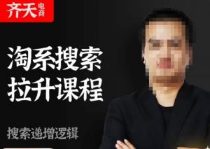 齐天电商·淘系搜索提升课程，​搜索递增标准化，动销标准化流程-遨游资源库