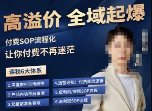 逸风-拼多多高溢价全域起爆，6大课程体系，付费玩法全套实操-遨游资源库