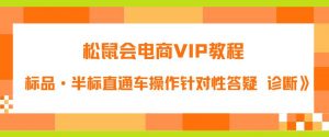 松鼠会电商VIP教程：松鼠《付费推广标品·半标直通车操作针对性答疑&诊断》-遨游资源库