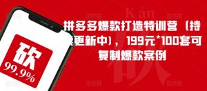 拼多多爆款打造特训营(持续更新中),199元*100套可复制爆款案例-遨游资源库
