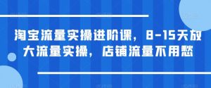 淘宝流量实操进阶课,8-15天放大流量实操,店铺流量不用愁-遨游资源库
