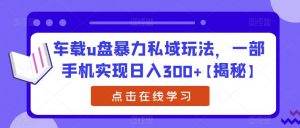 车载u盘暴力私域玩法，一部手机实现日入300+【揭秘】-遨游资源库