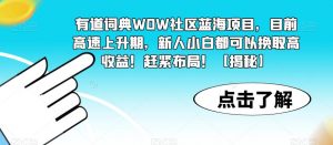 有道词典WOW社区蓝海项目，目前高速上升期，新人小白都可以换取高收益！赶紧布局！【揭秘】-遨游资源库