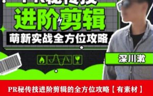 PR进阶剪辑培训班,让你快速成为剪辑大师12节视频课程+素材!-遨游资源库