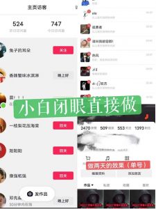 一天做完别一辈子的视频制作最近很火的《1000个野路子信息差》100%过原创【揭秘】-遨游资源库