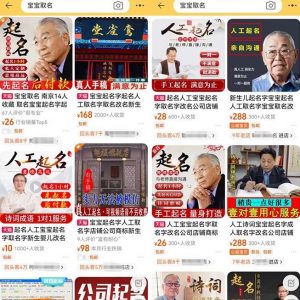拆解小红书宝宝起名虚拟副业项目，一条龙实操玩法分享给你（教程+软件）-遨游资源库