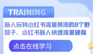 新人玩转小红书流量暴涨的8个野路子，小红书新人快速流量破局-遨游资源库