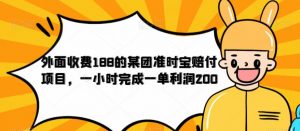 外面收费188的美团准时宝赔付项目,一小时完成一单利润200【仅揭秘】-遨游资源库