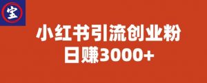 宝哥小红书引流创业粉，日赚3000+【揭秘】-遨游资源库