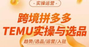 伍跃·跨境拼多多TEMU实操与选品，​趋势/选品/运营/入住（27节完整）-遨游资源库