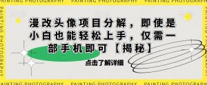 漫改头像项目分解，即使是小白也能轻松上手，仅需一部手机即可【揭秘】-遨游资源库
