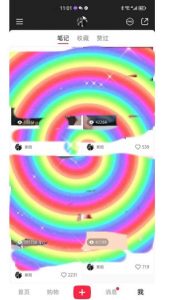 冷门高利润项目,小红书带货,无脑搬运,一部手机实现日入500+【揭秘】-遨游资源库