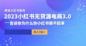 阿本小红书无货源电商3.0,告诉你为什么你小红书做不起来-遨游资源库