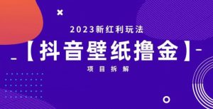 抖音壁纸小程序创作者撸金项目，2023新红利玩法【项目拆解】-遨游资源库
