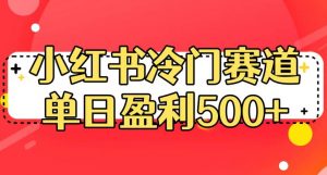 小红书冷门赛道，单日盈利500+【揭秘】-遨游资源库