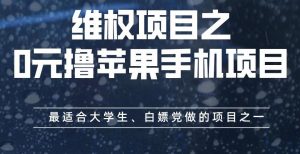 维权项目之0元撸苹果手机项目，最适合大学生、白嫖党做的项目之一【揭秘】-遨游资源库