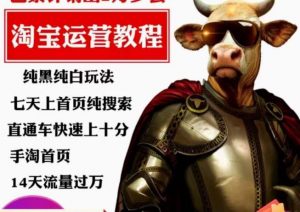 猫老师·淘系算法逆向解密，​纯黑纯白玩法，七天上首页纯搜索，手淘首页14天流量过万-遨游资源库
