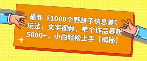 最新《1000个野路子信息差》玩法，文字视频，单个作品暴粉5000+，小白轻松上手【揭秘】-遨游资源库