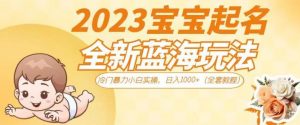抖音美女图文+音乐推广5.0版本，单日单号500+，0本0粉可矩阵，五分钟一个视频【揭秘】-遨游资源库