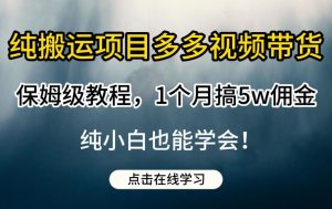 纯搬运项目多多视频带货保姆级教程，1个月搞5w佣金，纯小白也能学会【揭秘】-遨游资源库