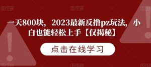 一天800块，2023最新反撸pz玩法，小白也能轻松上手【仅揭秘】-遨游资源库