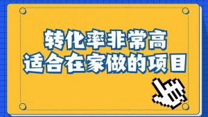 小红书虚拟电商项目：从小白到精英（视频课程+交付手册）-遨游资源库