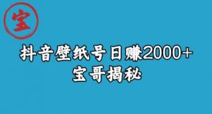 宝哥抖音壁纸号日赚2000+，不需要真人露脸就能操作【揭秘】-遨游资源库