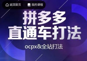 互力·拼多多直通车打法，ocpx&全站打法-遨游资源库