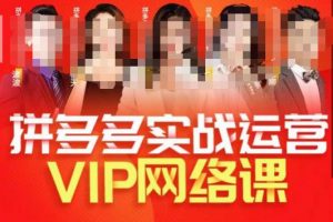 推易拼多多VIP全套直播课程，拼多多店铺实操玩法+实战玩法选款内功+直通车高阶等-遨游资源库