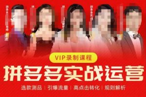 2023推易拼多多实战运营,选款测品、引爆流量、高点击转化、规则解析-遨游资源库