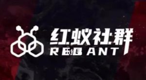 社群运营:红蚁社群【48节落地系统课程+2000人高端社群】-遨游资源库