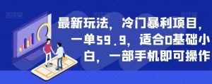 最新玩法,冷门暴利项目,一单59.9,适合0基础小白,一部手机即可操作【揭秘】-遨游资源库