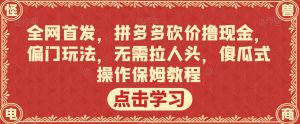 全网首发，拼多多砍价撸现金，偏门玩法，无需拉人头，傻瓜式操作保姆教程【揭秘】-遨游资源库