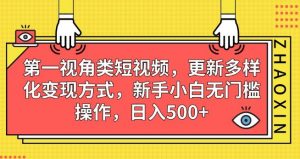 第一视角类短视频，更新多样化变现方式，新手小白无门槛操作，日入500+【揭秘】-遨游资源库