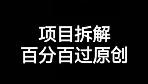 项目拆解赛道百分百过原创【揭秘】-遨游资源库