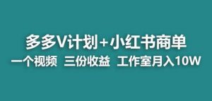【蓝海项目】多多v计划+小红书商单一个视频三份收益工作室月入10w-遨游资源库