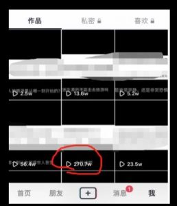 黄金知识赛道，一条作品涨粉500+，私域高利润单品转化，一部手机轻松实现日入500【揭秘】-遨游资源库